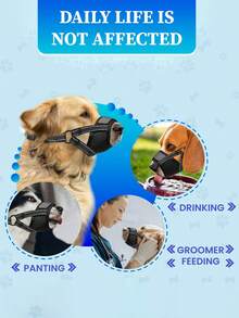 Botnițe pentru câini, botnițe din plasă moale - botnițe din nailon moale și respirabile, potrivite pentru rase de câini mici, câini mari, cum ar fi chihuahua, pudel, husky și labrador retriever, cu material din plasă respirabilă. Botnițe reglabile pentru câini pentru a preveni mușcăturile. Pentru midii pentru căței, pentru îngrijire, lătrat și mestecat.