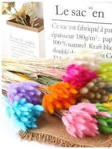 30/60 Pcs Pampas Dried Flowers, Dried Pampas Grass Feathers Decoration, Natural Dried Flowers, Reed Flower Stems Bundle, Natural Dried Pampas Grass Branches, Gorgeous Flowers, Fluffy Dried Plants, Vase Fillers, Decorate Home, Kitchen, Garden Party, Photoshoot, Flower Arrangement, Vase Decoration, Suitable For Kitchen, Home, Boho Decoration,Room Decor,Christmas,Christmas Decoration - Primary Color - View 3