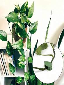 1 peça/2 peças Dispositivo de Fixação de Roupão em Forma de Folha Verde, Artesanato de Parede para Escalada de Plantas Verdes, Clipe de Fixação de Videira de Melancia, Dispositivo de Fixação de Plantas Verdes Sem Rastro, Estrutura de Suporte de Tração, Adequado para Decoração de Jardim Interno e Externo
