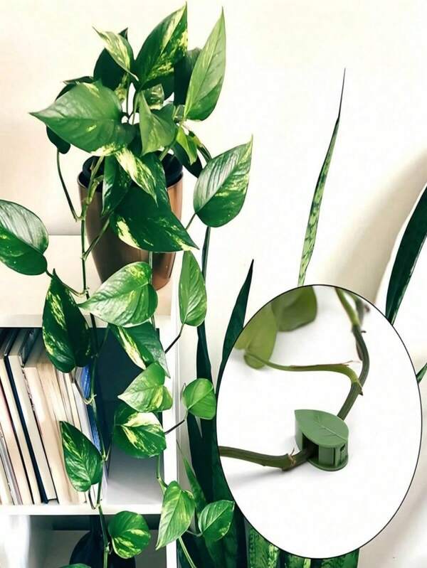 1 peça/2 peças Dispositivo de Fixação de Roupão em Forma de Folha Verde, Artesanato de Parede para Escalada de Plantas Verdes, Clipe de Fixação de Videira de Melancia, Dispositivo de Fixação de Plantas Verdes Sem Rastro, Estrutura de Suporte de Tração, Adequado para Decoração de Jardim Interno e Externo