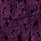 Bold Plum