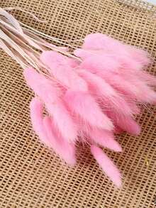 30/60 Pcs Pampas Dried Flowers, Dried Pampas Grass Feathers Decoration, Natural Dried Flowers, Reed Flower Stems Bundle, Natural Dried Pampas Grass Branches, Gorgeous Flowers, Fluffy Dried Plants, Vase Fillers, Decorate Home, Kitchen, Garden Party, Photoshoot, Flower Arrangement, Vase Decoration, Suitable For Kitchen, Home, Boho Decoration,Room Decor,Christmas,Christmas Decoration - Primary Color - View 14