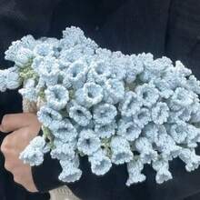 Paquete de material para hacer una manta de flores de rosa tejida a mano. Incluye bolas de lana, flores de ganchillo y manta de flores lilas. Rico en estilos. Puede hacerse junto con tu novia. Un gran regalo para tu novia.