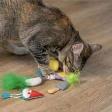 Catstages Hide &Amp; Seek Fish Bowl Interactive Cat Toy With Two Catnip Blend Toys, Blue - MàuC - Xem 8
