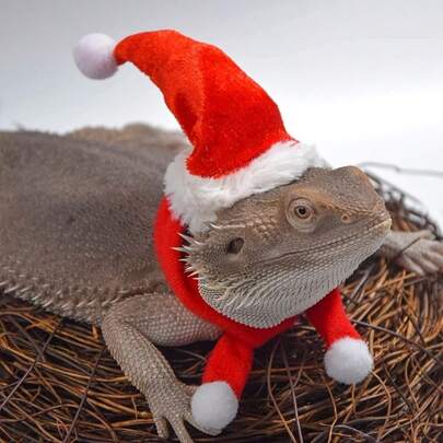 Conjunto de gorro y bufanda de Papá Noel para dragón barbudo, disfraz navideño para lagarto, reptil, hurón, gorro navideño con correa elástica ajustable para el mentón, gran regalo de Navidad para animales pequeños