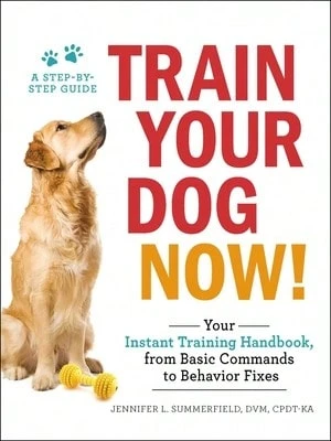 Pre-Owned Train Your Dog Now!: Your Instant Training Handbook, From Basic Commands To Behavior Fixes (Paperback) By Jennifer L Summerfield - Single Book - View 1