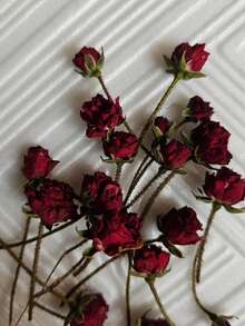 20 قطعة من الورود الجافة الحمراء، براعم الورود الجافة الصغيرة، ورود جافة حمراء، زهور جافة صغيرة للراتنج، نباتات جافة للأعمال اليدوية، ديكور منزلي وزفاف - الأحمر - مشاهدة 6