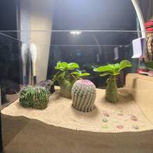 Aquarium Sand Substrate - Natural River Sand For Fish Tank | Multi-Use For Turtle Basking, Hamster Bathing & Plant Decor | 200g/500g/800g