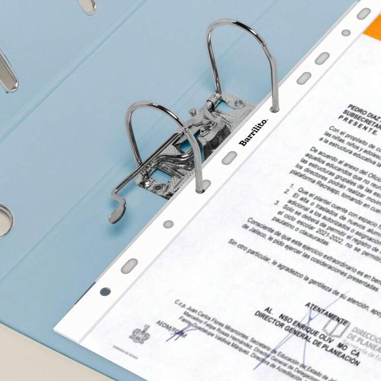 Barrilito Protector de Hojas ligero, Tamaño Carta, Antiestático.Bolsa c/100 pzas.100 PHL - 1 - Añade 3