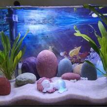 Aquarium Sand Substrate - Natural River Sand For Fish Tank | Multi-Use For Turtle Basking, Hamster Bathing & Plant Decor | 200g/500g/800g