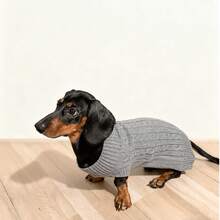 1 chiếc áo len cho thú cưng mới năm 2026, màu xám, kiểu Anh, dành cho chó Dachshund, thích hợp cho chó và mèo nhỏ, trang phục ấm áp mùa thu/đông, thiết kế dễ thương và đơn giản, phù hợp với chó Poodle, Teddy, Corgi, chống rụng lông, giữ ấm, vừa vặn với chó và mèo nhỏ. - Xám - Xem 4