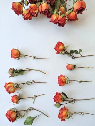 20 Stücke getrocknete Rosen, getrocknete Rosen, rote getrocknete Rosen, Miniatur Rosenblüten, rote getrocknete Rosen, kleine getrocknete Blumen für Harz, getrocknete Pflanzen für Basteln, Hochzeitsdekoration, Hochzeitsblumenkunst