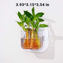 1pc Multi-Functional Wall-Mounted/Hanging Plastic Decor - Creative Vase, Mini Office Fish Tank & Hanging Hydroponic Planter For Living Room Home Decoration Accent, Space-Saving Indoor Plant/ Aquarium Display