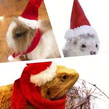 Weihnachtskostüm-Set mit Weihnachtsmannmütze und Schal für Bartagame, Echse, Reptil, Frettchen. Weihnachtsmütze mit verstellbarem elastischem Kinnriemen, tolles Weihnachtsgeschenk für kleine Tiere