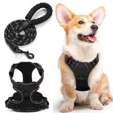 Upgraded Pet Leash & Harness Set For Walking Dogs, Cat Chest Strap, Walking, Anti-Escape, Anti-Bite, Durable, Reflective, Breathable, Suitable For Small/Medium/Large Dogs