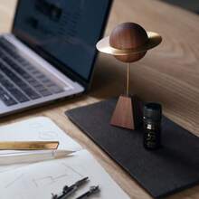 1pc Asteroid Fragrance Oil Diffuser Wood, Household Non-Flame Fragrance Oil Diffuser, Bedroom And Study Fragrance Wood, Creative Birthday Gift, Home Decor