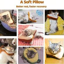 Adjustable Cat Cone Collar, Soft Cat Recovery Collar, Post-Surgery Cat Cone, Cat Neck Cone, Elizabeth Collar Suitable For Cats