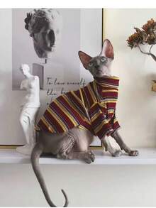 Autumn/Winter Hairless Cat Siamese Maine Clothing, Sphynx Devon Rex Abyssinian Skin-Friendly Breathable Warm Air Conditioning Sweater, High Neck Striped Short Sleeve Loungewear - Blue - View 12