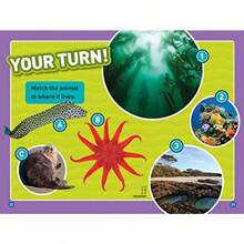 In te Ocean National Geograpic Readers Level 1/CoReader - como en la foto - Ver 4