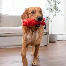 Outward Hound Grunt Fetch Stick Dog Toy, Bunny, Red - MàuA - Xem 7
