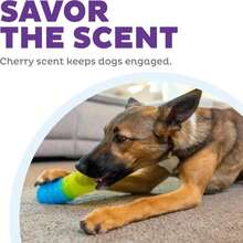 Outward Hound By Planet Dog Dental Grapes Dental Chew Toy And Interactive Treat Stuffer Durable Dog Toy Stuffable Dog Toy, Medium, Purple - MàuD - Xem 5