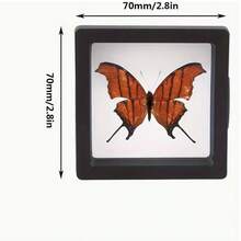 10pcs Clear Floating Jewelry Boxes With Black Borders - Dustproof, Moisture-Resistant, Stackable Storage Organizer - PE Plastic Film Display Cases For Necklace, Bracelet, Earring, Ring - Ideal For Jewelry Store, Home, Gift Packaging, Jewelry Organizer Storage, Personal Item Organizer, Square Display Case, Highquality Plastic, Home Organization, Sleek Packaging, Sturdy Construction, Boutique Owners