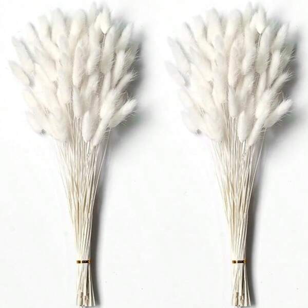 60/120/180/240 szt. suszonych naturalnych kwiatów dekoracyjnych, naturalne suszone kwiaty z trawy króliczej, suszona trawa pampasowa, używane do dekoracji wnętrz, dekoracji ślubnych, dekoracji imprezowych, rękodzieła DIY, rekwizytów strzeleckich, dekoracji tematycznych, 17,7 cala (biały)