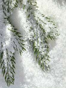 10.5oz/17.5oz (300 G/500 G) Sparkling Artificial Snow - Classic Plastic Fake Snow For Christmas Decorations, DIY Crafts, Winter Village Scenes & Holiday Party Decor - Festive Themed Party Atmosphere, Snowflake Decorations, Winter Scene Crafting, Fluffy Texture, Durable Material, Craft Enthusiasts, Home Decor Room Decor