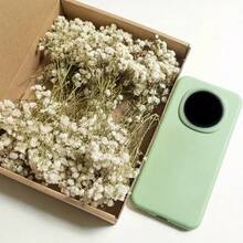 26/51/101/201/301 pièces Fleurs de Gypsophile bébé naturelles préservées - Gypsophile bébé élégant et éternel, convient pour la maison, le bureau, le mariage, Noël, la fête d'Halloween, l'artisanat, sans entretien, convient pour les 14 ans et plus