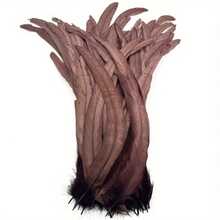 100 pièces Plumes de coq - Longues de 25-35 cm, plumes de queue de coq colorées mélangées, convenant pour la décoration de mariage, les coiffures, les mascarades, l'artisanat, les projets DIY, les éléments de coiffe, les accessoires de costume, les plumes décoratives, les plumes d'artisanat de haute qualité, l'artisanat fait main pour les fêtes, la décoration d'événements