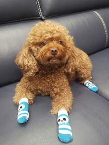 4/8pcs Random Print Pet Anti-Slip Socks, Suitable For Small And Medium Dogs, Anti-Slip, Puppy Protective Socks - Multicolor - View 5