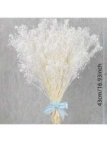 80G Dried Bouquet Gypsophila Paniculata White Suitable For Wedding Decorations Home Decorations Candle Making And Home Decoration | Housewares Ideal For Weddings, Valentine'S Day, Christmas, Thanksgiving Gifts Birthday Graduation - White - View 2