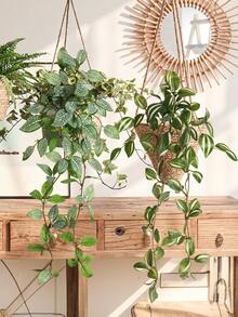 1/2 pezzi Piante artificiali, Hitchhike, Quattro scelte, A, Zebrina rossa, Inchplant, B, Zebrina verde, C, Peperomia, D, Fittonia Inchplant verde, decorazioni senza vasi per decorazioni tutto l'anno, scuola, dormitorio, ufficio, feste, compleanni, decorazioni per la casa, hotel, ristoranti, salotti, camere da letto, matrimoni, cucine e giardino