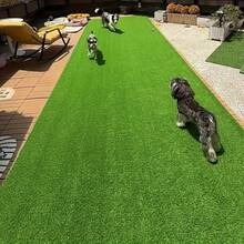 1 rolă de gazon artificial de lux - covor exterior moale și realist, gazon artificial de înaltă densitate, potrivit pentru grădină, nuntă, terasă, dresaj animale de companie, loc de joacă - rezistent la intemperii care necesită întreținere redusă, ideal pentru curte, balcon, acoperiș, decor de camping, aspect natural, instalare ușoară, grădinărit acasă, material durabil, decorațiuni de nuntă