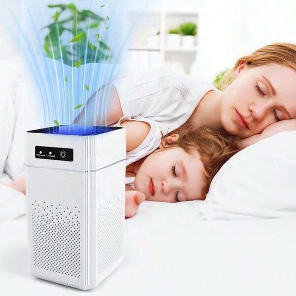 Air Purifier Hepa Negative Ion Formaldehyde Pet Hair Dust Smog Air Purifier Large Room Odor Removal Air Cleaner For Dust