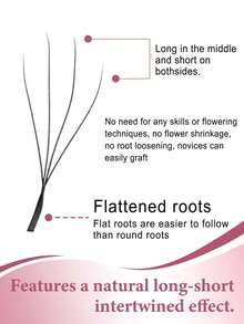 CoMango 12 Rows Camellia 4D W-Curl Mixed 8-15mm Lash, High Density 0.07mm Automatic Flower Lashes - Multicolor - View 3