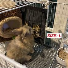 1pc PP Material Double-Layer Square Pet Litter Box With Drainage Hole, Removable & Washable, Suitable For Rabbits, Guinea Pigs And Other Small Pets, All Season Use