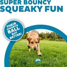 Outward Hound Squeaker Ballz 4-Pack Tennis Ball Dog Toys With Squeaker, Interactive Fetch Play For Pets Under 50 Lbs, Training Balls For Indoor &Amp; Outdoor Exercise, Medium, 25-Inch - ColorG - 查看 3
