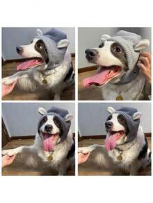 1pc Embroidered Puppy Knit Hat, Dog Ear Protection Hat, Medium/Large Dog Noise Reduction Knit Hat, Suitable For All Seasons, Dog Accessories, Dog Hat, Dog Christmas Hat - Multicolor - View 5