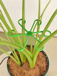 8 件植物支架，坚固的攀爬植物茎夹，藤蔓支架，室内花茎支架，塑料园艺工具，适用于攀爬植物、露营/婚礼/花园装饰/圣诞装饰/万圣节装饰/卧室装饰/房间装饰/家居装饰/秋季装饰 - 彩色 - 查看 7