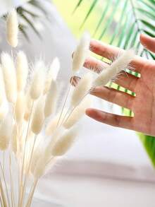 60/120/180/240pcs Natural Dried Flowers Decor, Natural Dried Rabbit Tail Grass, Dried Cattail, For Home Decor, Wedding Decor, Party Decor, DIY Crafts, Photography Props, Theme Decor, 17.7 Inches (White)