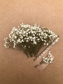 26/51/101/201/301 pièces Fleurs de Gypsophile bébé naturelles préservées - Gypsophile bébé élégant et éternel, convient pour la maison, le bureau, le mariage, Noël, la fête d'Halloween, l'artisanat, sans entretien, convient pour les 14 ans et plus