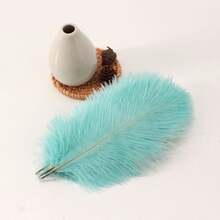5 chiếc lông đà điểu nhân tạo 15-20cm, dùng để làm đồ trang sức, tự làm, đám cưới, trang trí nhà cửa, thủ công, trang trí bánh, phụ kiện quần áo - Nhiều màu - Xem 22