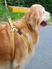 20m/30m Copper Plated Stainless Steel Wire Rope Set With 2 Stainless Steel Hooks And PVC Coating, Ideal For Storage And Organization, Clothesline, Sunshade Net, Tent Ropes - Red - View 8