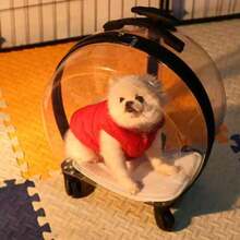 حامل قطة شفاف كبير السعة ذو تصميم جميل، حامل حيوانات أليفة محمول