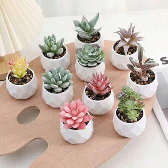 1pc Faux Flocked Succulent Diamond Pattern Plant Potted Artificial Flower Decor, Fake Succulent Desktop Ornament