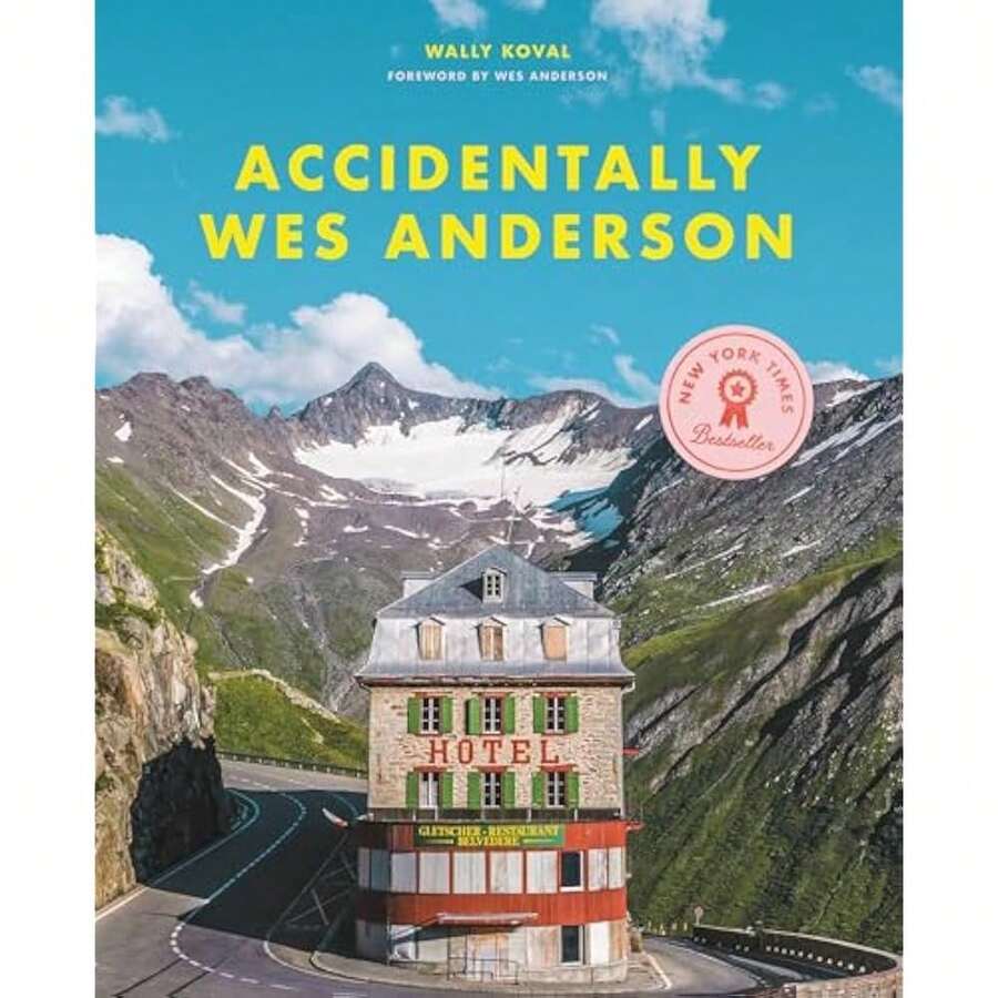 Accidentally  - Hardcover