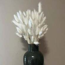 60/120/180/240 Pcs Dried Natural Flowers Decoration, Natural Dried Rabbit Tail Grass Flowers, Dried Pampas Grass, Used For Home Decor, Wedding Decor, Party Decor, DIY Craft, Shooting Props, Theme Decoration, 17.7inch (White)