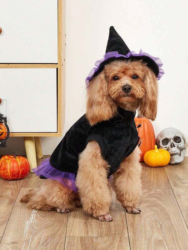 1pc Polyester Color Block Pet Wizard Costume, Suitable For Cats And Dogs, Indoor/Outdoor Use, Halloween Specific Halloween Halloween Costumes