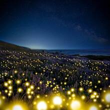 Luzes solares externas tipo vaga-lume - 6/8/10 LEDs, sem bateria e com movimento oscilante devido ao vento, ideais para decoração de jardins, pátios e festas (branco quente/multicolorido)